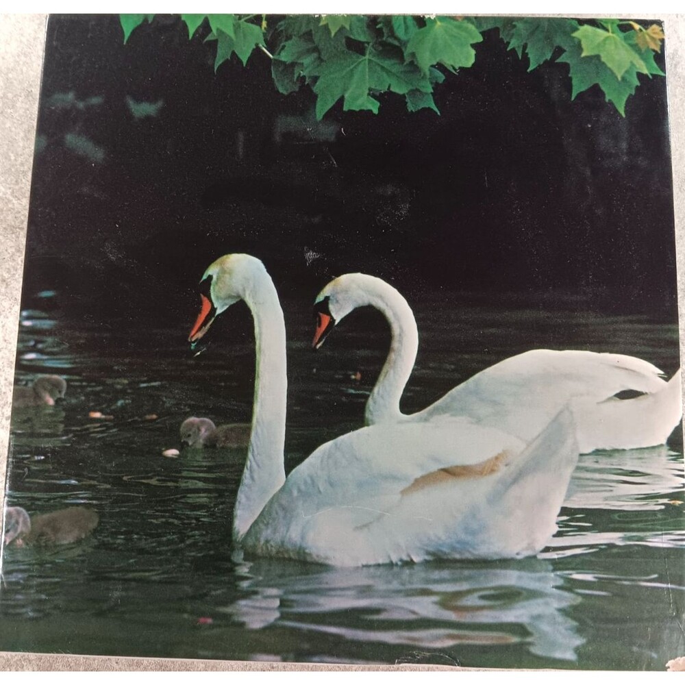 Vintage Eaton Treasure Collection Swan Lake 500+ Piece Jigsaw Puzzle 1979